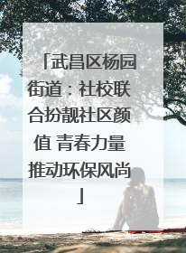武昌区杨园街道：社校联合扮靓社区颜值 青春力量推动环保风尚