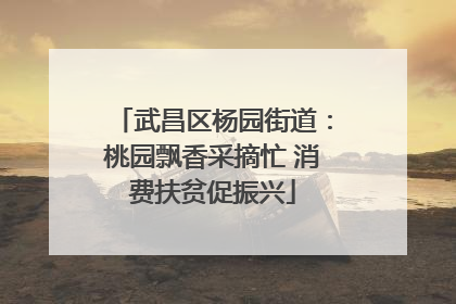 武昌区杨园街道：桃园飘香采摘忙 消费扶贫促振兴