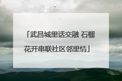 武昌城里话交融 石榴花开串联社区邻里情