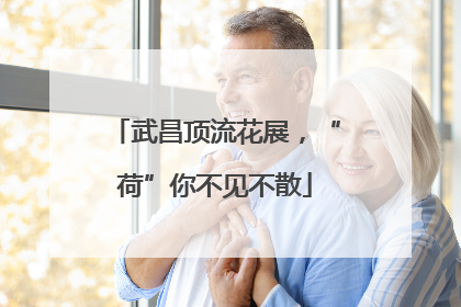 武昌顶流花展，“荷”你不见不散