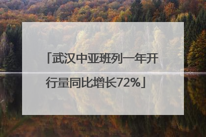武汉中亚班列一年开行量同比增长72%