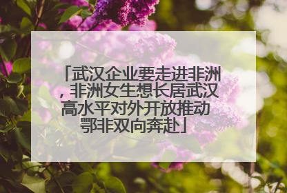 武汉企业要走进非洲，非洲女生想长居武汉 高水平对外开放推动鄂非双向奔赴