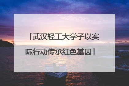 武汉轻工大学子以实际行动传承红色基因
