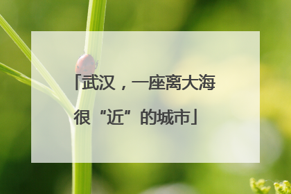 武汉，一座离大海很“近”的城市