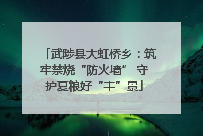 武陟县大虹桥乡：筑牢禁烧“防火墙” 守护夏粮好“丰”景