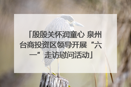 殷殷关怀润童心 泉州台商投资区领导开展“六一”走访慰问活动