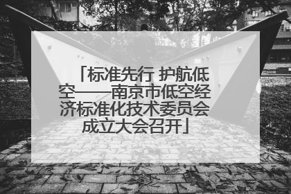 标准先行 护航低空——南京市低空经济标准化技术委员会成立大会召开