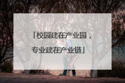 校园建在产业园，专业建在产业链