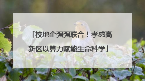 校地企强强联合！孝感高新区以算力赋能生命科学
