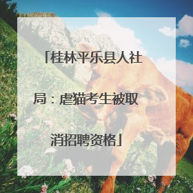 桂林平乐县人社局：虐猫考生被取消招聘资格