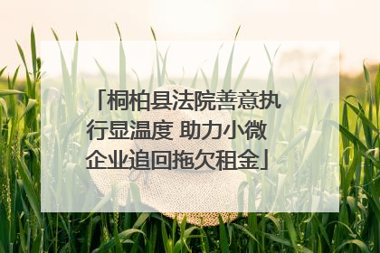 桐柏县法院善意执行显温度 助力小微企业追回拖欠租金
