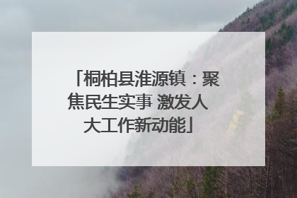 桐柏县淮源镇：聚焦民生实事 激发人大工作新动能