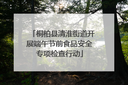 桐柏县清淮街道开展端午节前食品安全专项检查行动