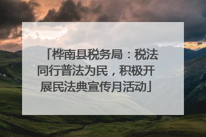 桦南县税务局：税法同行普法为民，积极开展民法典宣传月活动
