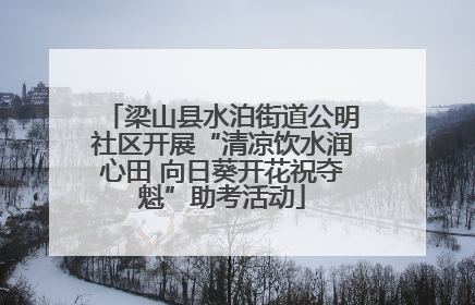 梁山县水泊街道公明社区开展“清凉饮水润心田 向日葵开花祝夺魁”助考活动