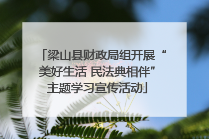 梁山县财政局组开展“美好生活 民法典相伴”主题学习宣传活动