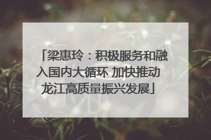 梁惠玲：积极服务和融入国内大循环 加快推动龙江高质量振兴发展