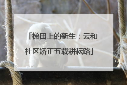 梯田上的新生：云和社区矫正五载耕耘路