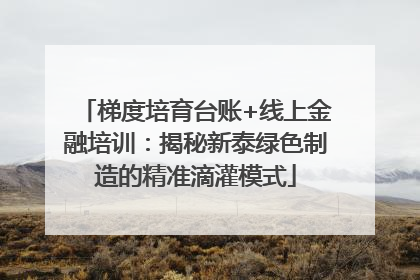 梯度培育台账+线上金融培训：揭秘新泰绿色制造的精准滴灌模式