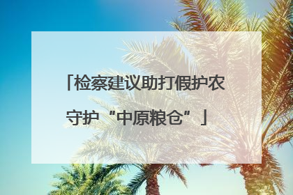 检察建议助打假护农守护“中原粮仓”