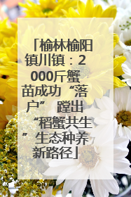 榆林榆阳镇川镇：2000斤蟹苗成功“落户” 蹚出“稻蟹共生”生态种养新路径
