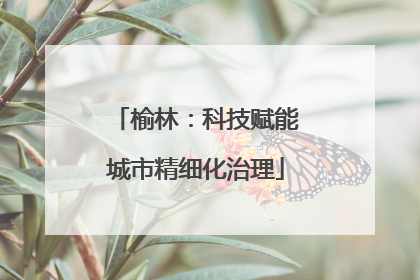 榆林：科技赋能城市精细化治理