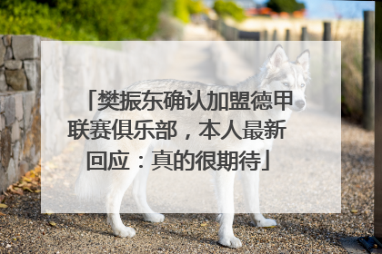 樊振东确认加盟德甲联赛俱乐部，本人最新回应：真的很期待