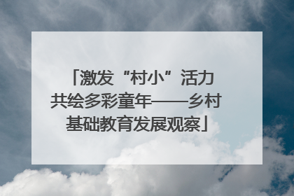 激发“村小”活力 共绘多彩童年——乡村基础教育发展观察