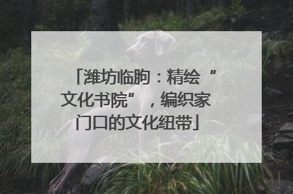 潍坊临朐：精绘“文化书院”，编织家门口的文化纽带