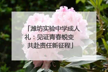 潍坊实验中学成人礼：见证青春蜕变 共赴责任新征程