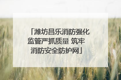 潍坊昌乐消防强化监管严抓质量 筑牢消防安全防护网