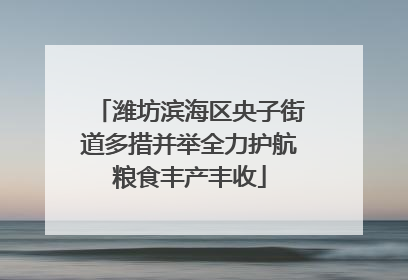 潍坊滨海区央子街道多措并举全力护航粮食丰产丰收