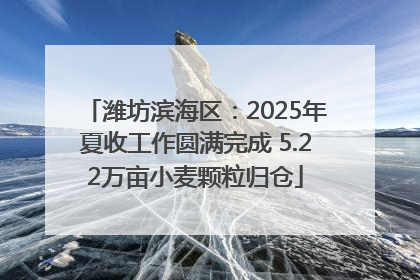潍坊滨海区：2025年夏收工作圆满完成 5.22万亩小麦颗粒归仓