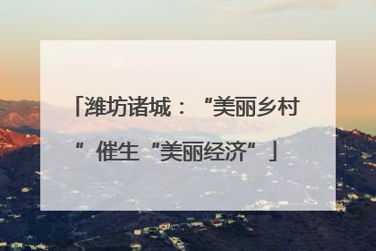 潍坊诸城：“美丽乡村”催生“美丽经济”