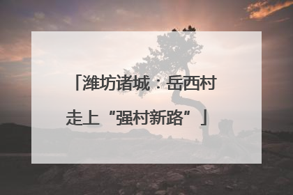 潍坊诸城：岳西村走上“强村新路”
