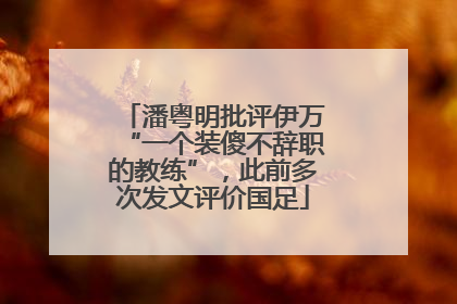 潘粤明批评伊万“一个装傻不辞职的教练”，此前多次发文评价国足