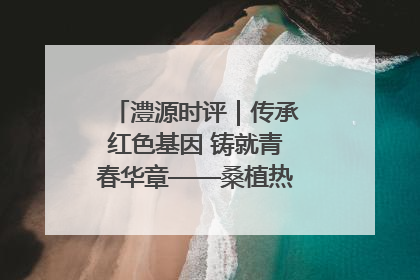 澧源时评｜传承红色基因 铸就青春华章——桑植热土上的青春长征