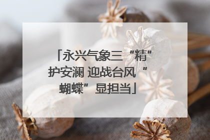 永兴气象三“精”护安澜 迎战台风“蝴蝶”显担当