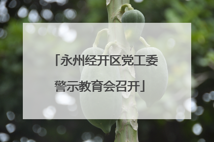 永州经开区党工委警示教育会召开