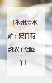 永州冷水滩：夏日荷韵浓（组图）