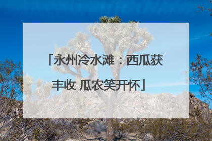 永州冷水滩：西瓜获丰收 瓜农笑开怀