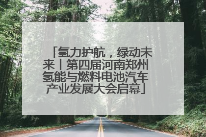 氢力护航，绿动未来丨第四届河南郑州氢能与燃料电池汽车产业发展大会启幕