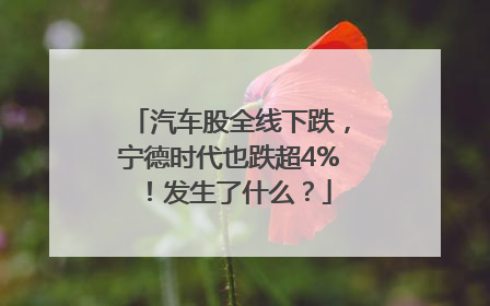 汽车股全线下跌，宁德时代也跌超4%！发生了什么？