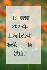 汇劳模｜2025年上海市劳动模范——杨洪山