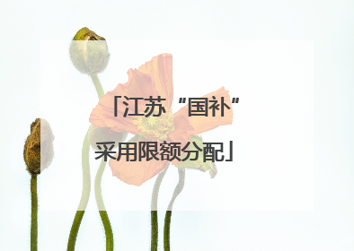 江苏“国补”采用限额分配