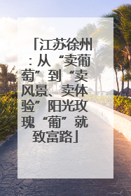 江苏徐州：从“卖葡萄”到“卖风景、卖体验”阳光玫瑰“葡”就致富路