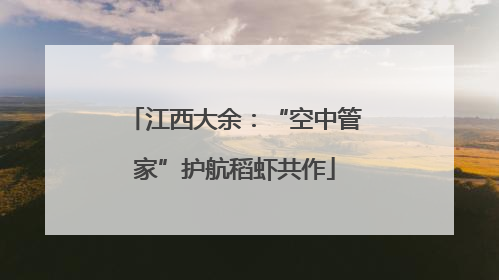 江西大余：“空中管家”护航稻虾共作