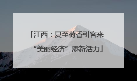 江西：夏至荷香引客来 “美丽经济”添新活力