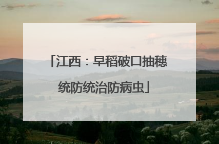 江西：早稻破口抽穗 统防统治防病虫
