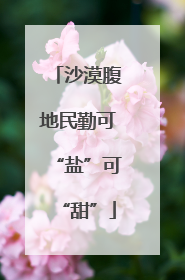 沙漠腹地民勤可“盐”可“甜”